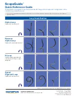 Предварительный просмотр 2 страницы Olympus ScopeGuide UPD-3 Quick Reference Manual