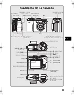 Предварительный просмотр 55 страницы Olympus SP-310 Basic Manual