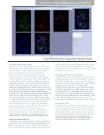 Preview for 3 page of Olympus VS110 Fluorescence Brochure & Specs