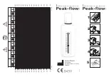 OLYS Peak Flow Manual предпросмотр