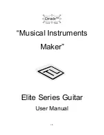 Omade Elite Series Guitar User Manual preview