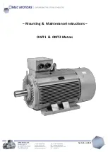 Omec OMT2 Mounting & Maintenance Instructions preview