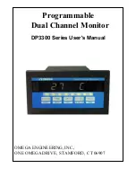 Omega Engineering DP3300 Series User Manual предпросмотр