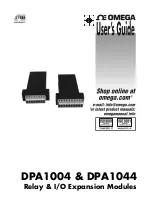 Omega Engineering DPA1004 User Manual preview