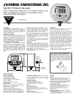 Omega Engineering DPG1100AD Series Instruction Sheet предпросмотр