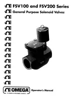 Omega Engineering FSV100 Series Operator'S Manual preview