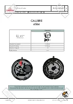 Preview for 1 page of Omega 4564 Technical Manual