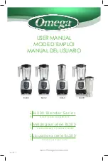 Omega BL332 User Manual preview