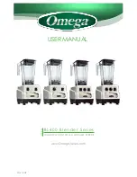 Omega BL400 series User Manual preview