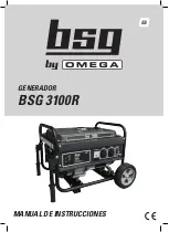 Preview for 1 page of Omega BSG 3100R User Manual