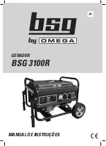 Предварительный просмотр 21 страницы Omega BSG 3100R User Manual