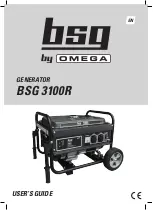 Предварительный просмотр 41 страницы Omega BSG 3100R User Manual