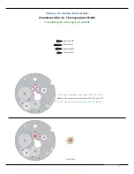 Preview for 9 page of Omega Calibre 3220 A Technical Manual