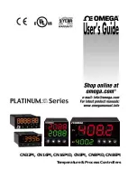 Omega CN8EPt User Manual preview
