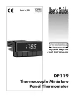 Omega DP119 User Manual preview