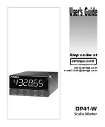 Предварительный просмотр 1 страницы Omega DP41-W User Manual