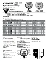 Preview for 1 page of Omega DPG2001B Instruction Sheet