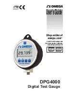 Omega DPG4000 User Manual preview