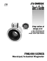 Предварительный просмотр 1 страницы Omega FMG490 Series User Manual