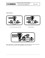 Preview for 17 page of Omega FMG600 Series User Manual