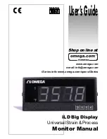 Preview for 1 page of Omega iLD Big Display User Manual