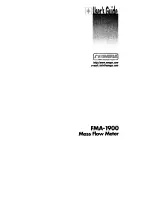Omega MASS FLOW FMA-1900 User Manual preview