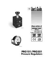 Preview for 1 page of Omega PRG101 User Manual