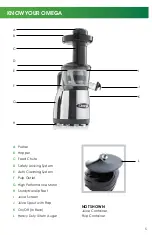 Preview for 7 page of Omega VRT370 Series User Manual