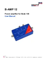 Omicron Lab B-AMP 12 User Manual preview