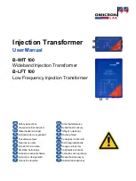 Предварительный просмотр 1 страницы Omicron Lab B-WIT 100 User Manual