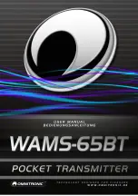 Omnitronic WAMS-65BT User Manual предпросмотр