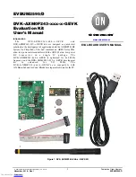 ON Semiconductor DVK-AXM0F243-868-x-ANT-GEVB Series User Manual предпросмотр