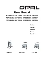 Opal CET386 User Manual preview