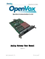 OpenVox Analog Gateway Series User Manual preview