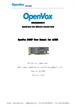 OpenVox B200P User Manual preview