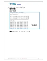 Preview for 10 page of OpenVox DE210E User Manual