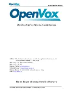 Preview for 2 page of OpenVox VS-EIU-100X Series User Manual