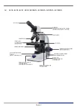 Предварительный просмотр 41 страницы Optika Italy B-150 ALC Series Instruction Manual