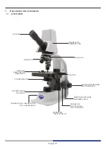 Предварительный просмотр 40 страницы Optika Italy B-150D Series Instruction Manual