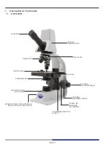 Предварительный просмотр 57 страницы Optika Italy B-150D Series Instruction Manual