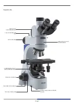 Preview for 7 page of Optika Italy B-383 Series Instruction Manual
