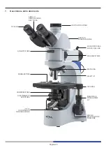 Preview for 29 page of Optika Italy B-383 Series Instruction Manual