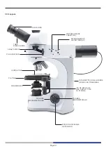 Preview for 91 page of Optika Italy B-510 Series Instruction Manual