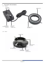 Предварительный просмотр 30 страницы Optika Italy CL-16.1 Instruction Manual