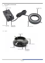 Предварительный просмотр 42 страницы Optika Italy CL-16.1 Instruction Manual