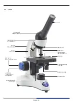 Предварительный просмотр 80 страницы Optika Italy ECOVISION B-20CR Instruction Manual