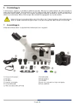 Предварительный просмотр 26 страницы Optika Italy IM-3 Series Instruction Manual