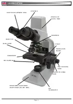 Preview for 4 page of OPTIKA MICROSCOPES B-150D Operation Manual