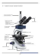 Предварительный просмотр 5 страницы OPTIKA MICROSCOPES B-290 Series Instruction Manual