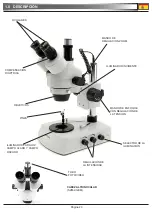 Предварительный просмотр 23 страницы OPTIKA MICROSCOPES SZM-1-GEM Operation Manual